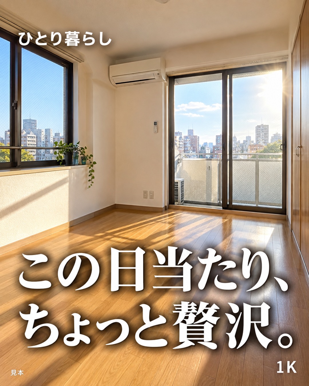 この日当たり、ちょっと贅沢。
